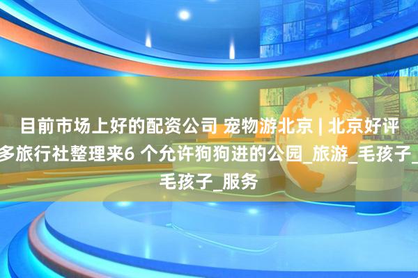 目前市场上好的配资公司 宠物游北京 | 北京好评前十多旅行社整理来6 个允许狗狗进的公园_旅游_毛孩子_服务